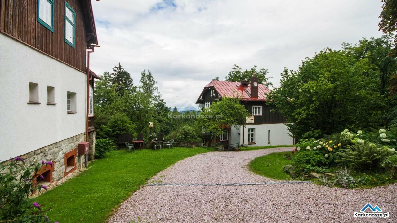 Apartamenty Maria Sosnówka Dış mekan fotoğraf
